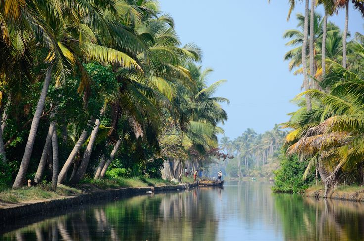Kerala backwaters near Cochin